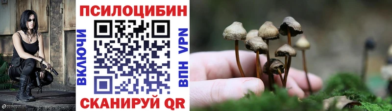 Галлюциногенные грибы GOLDEN TEACHER  Купить закладки  Камызяк 